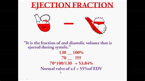 calculate ef|Ejection Fraction: Normal Range, Low Range, and .